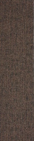 First Absolute-809 Brown_A